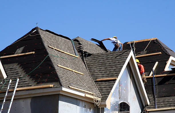 Best New Roof Installation  in Davie, FL